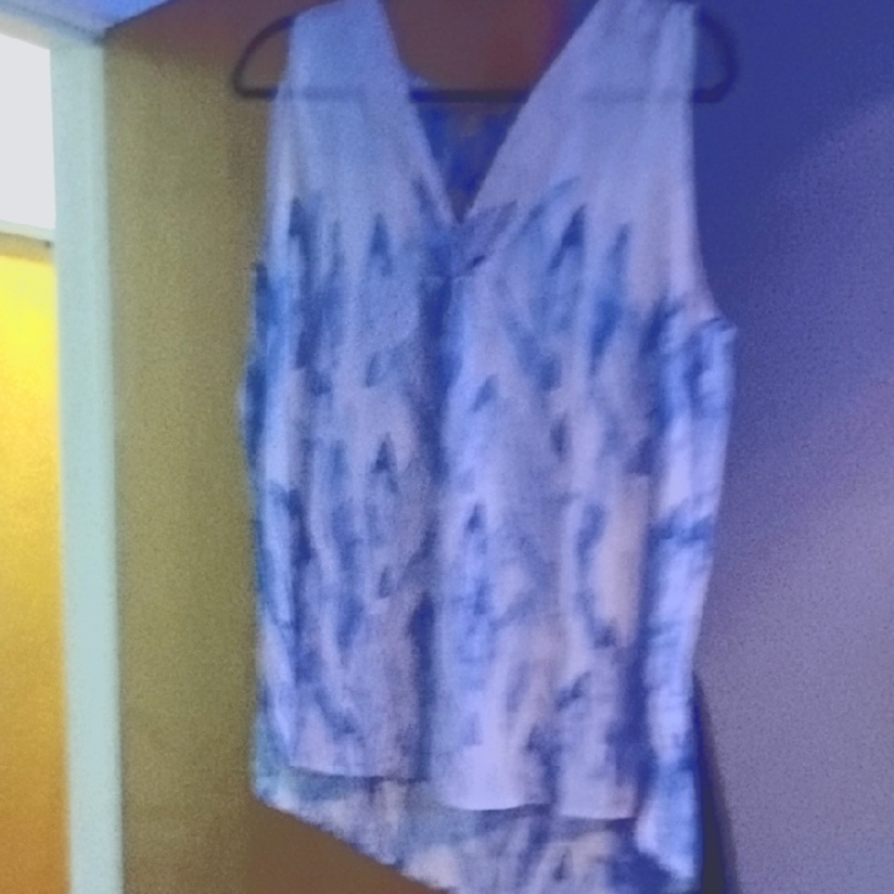 Blue and White Sleeveless Top